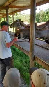 IMG_20150703_161835761_HDR